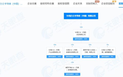 SK海力士市值突破1万亿美元 公司实控6家企业