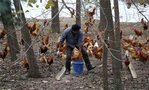 在农村里，这四种生意非常吃香，其中第一种是很多女人都愿意做的