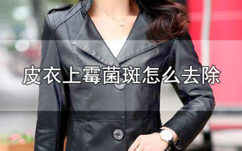 皮衣上霉菌斑怎么去除