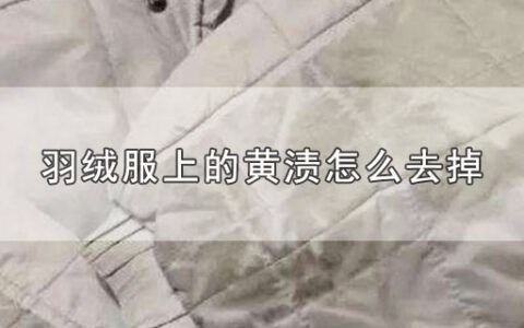 羽绒服上的黄渍怎么去掉