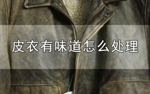 皮衣有味道怎么处理