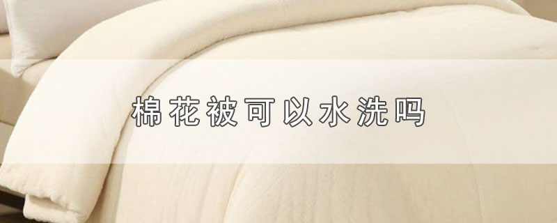 棉花被可以水洗吗