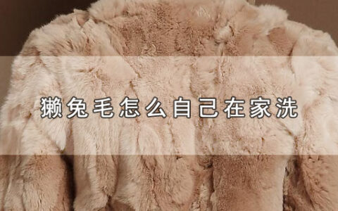 獭兔毛怎么自己在家洗