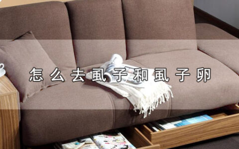 怎么去虱子和虱子卵