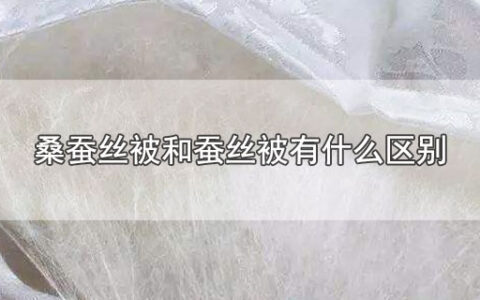 桑蚕丝被和蚕丝被有什么区别