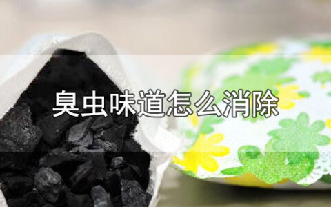臭虫味道怎么消除