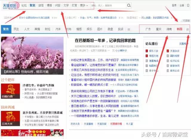 论坛、帖吧手工、工具批量引流