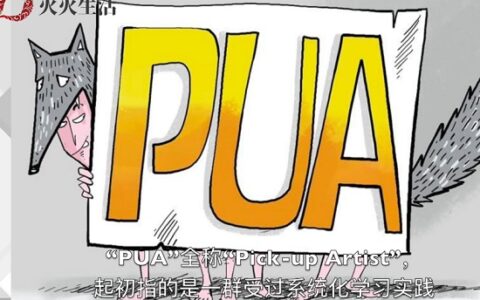 pua是什么意思