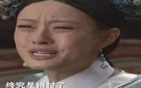 终究还是错付了是什么意思