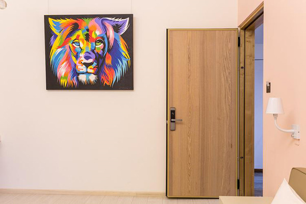 专业隔音门品牌有哪些