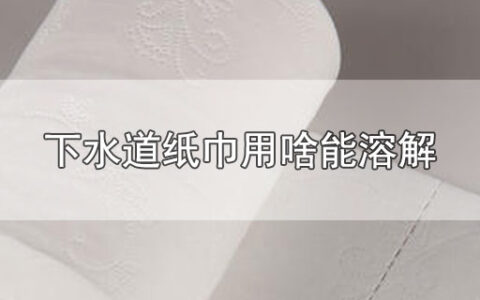 下水道纸巾用啥能溶解