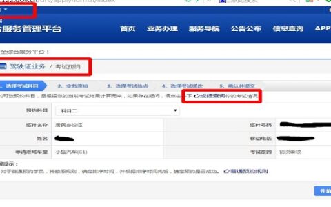 交管12123成绩查询