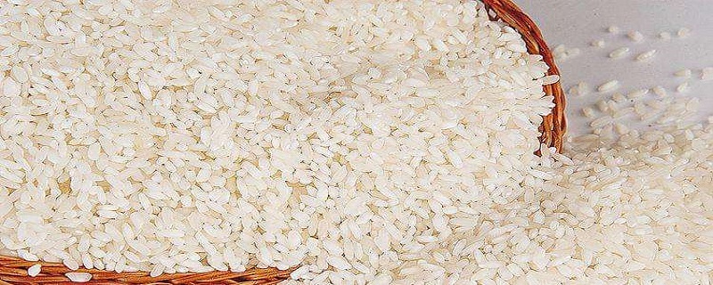 大米生虫子处理小诀窍