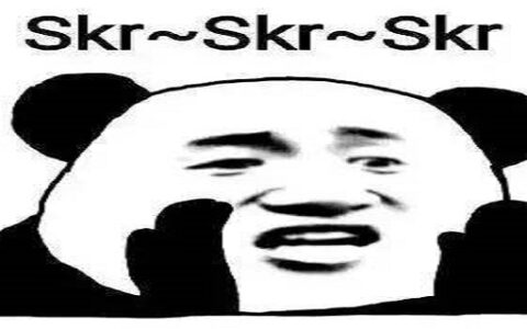 skr什么意思