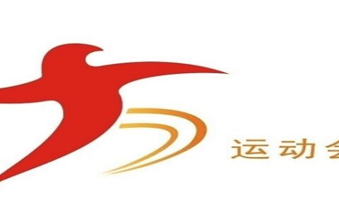 用点面结合的方法写运动会