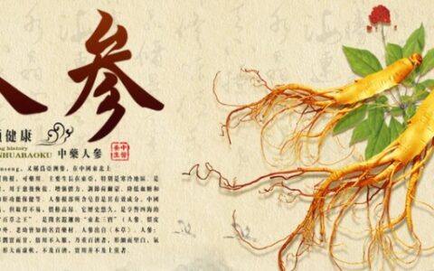 人参泡酒的最佳配方