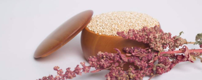 那些人不适合吃藜麦