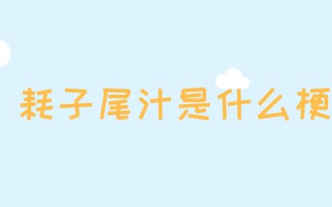 耗子尾汁是什么梗