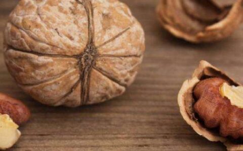 生核桃可以直接吃吗