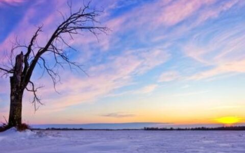 下雪发朋友圈唯美短句