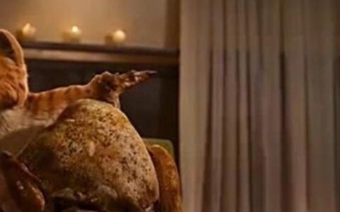 简单成熟低调的网名