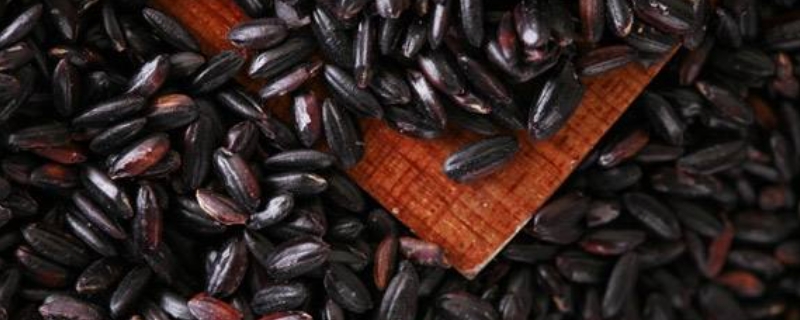 黑米煮饭需要提前泡吗