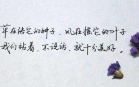 顾城最经典的十首短诗