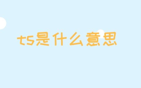 ts是什么意思