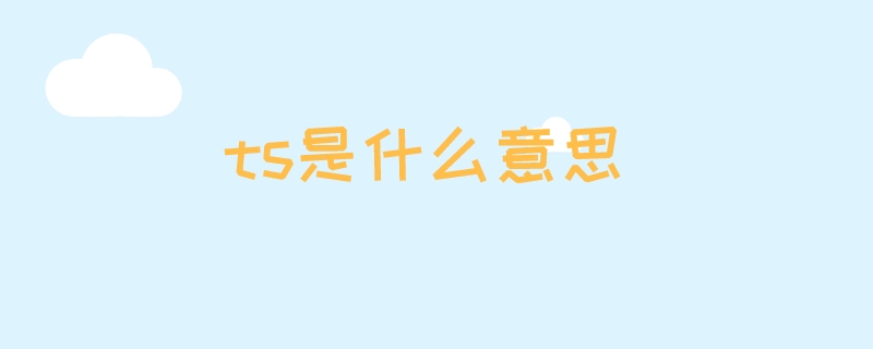 ts是什么意思