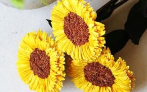 一株向日葵只开一朵花这种表述是