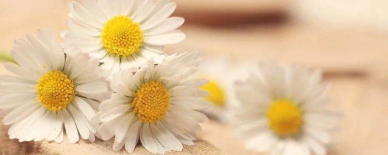 一群人一起拼励志句子