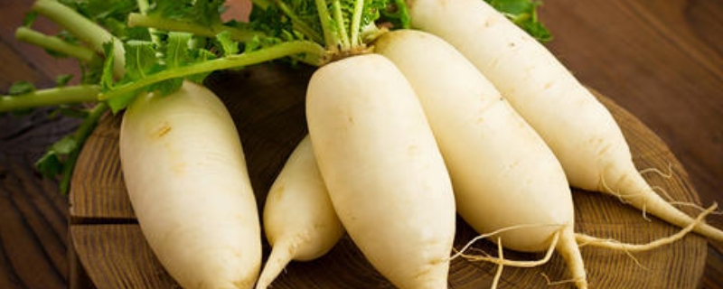 萝卜水的作用与功效