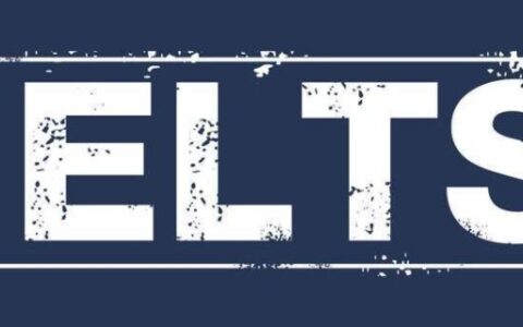 雅思6.5是什么水平