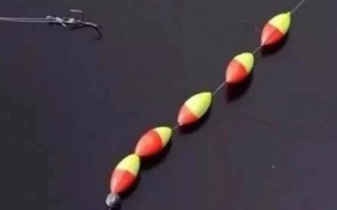 钓鱼调漂的正确方法