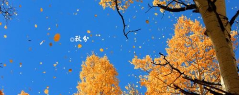 秋分是几月几日