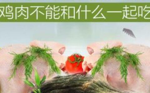 鸡肉不能和什么一起吃