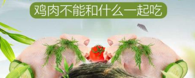 鸡肉不能和什么一起吃