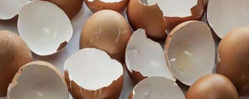 鸡蛋壳是什么垃圾