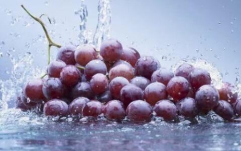 洗葡萄用淀粉还是面粉