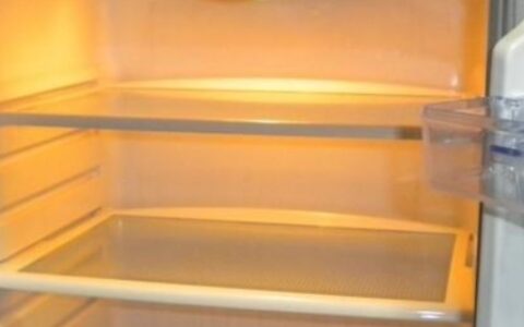 冰箱灯亮不制冷没声音