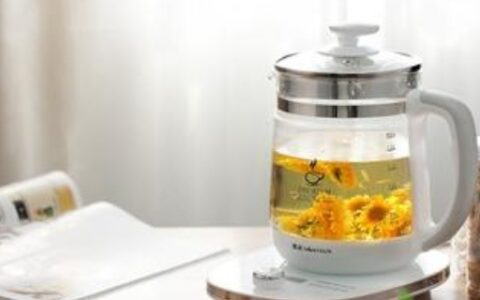 养生壶可以煮哪些东西