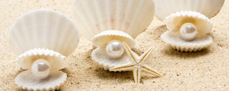 淡水珍珠和海水珍珠的区别