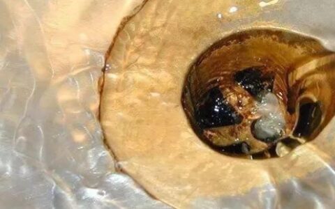 下水道堵了怎么办