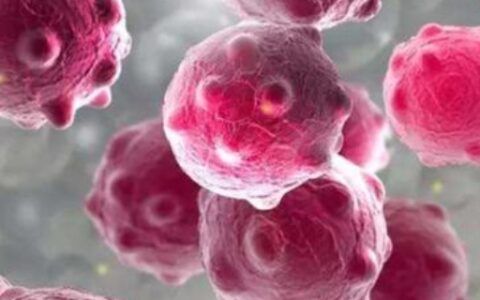 病毒感染和细菌感染的区别