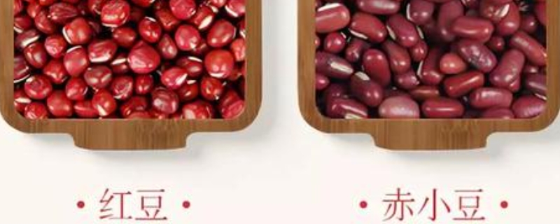 红小豆和赤小豆的区别