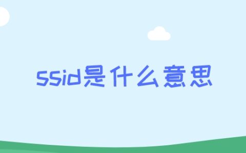 ssid是什么意思