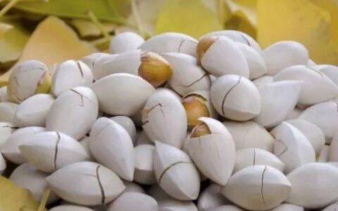 白果的食用方法和禁忌