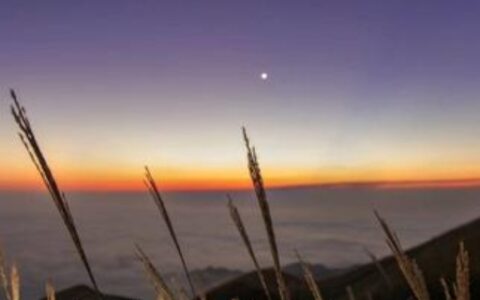 启明星是什么星