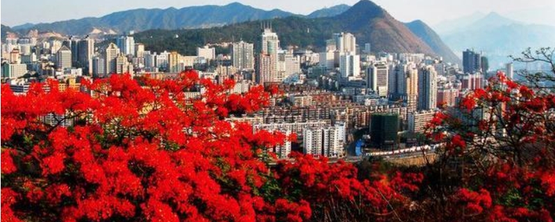 花城是哪个城市