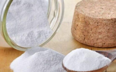 小苏打能代替泡打粉吗